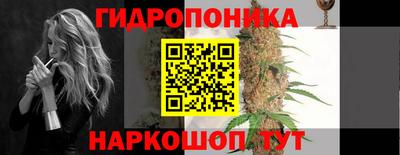 jwh Аргун