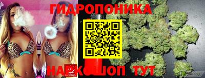 jwh Аргун