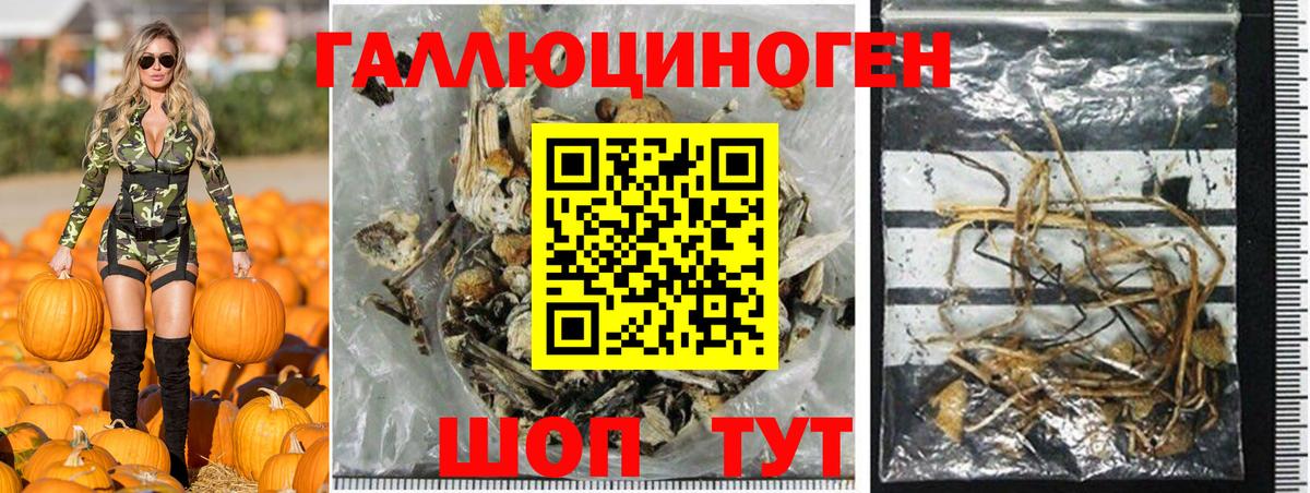 Волжск  Галлюциногенные грибы Psilocybe  Вход с VPN 